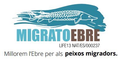 Xerrada "MigratoEbre: Recuperaci de peixos migradors i millora de la gesti al tram final del Riu Ebre"