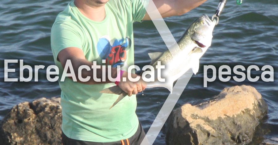 Concurs de pesca al passeig del riu