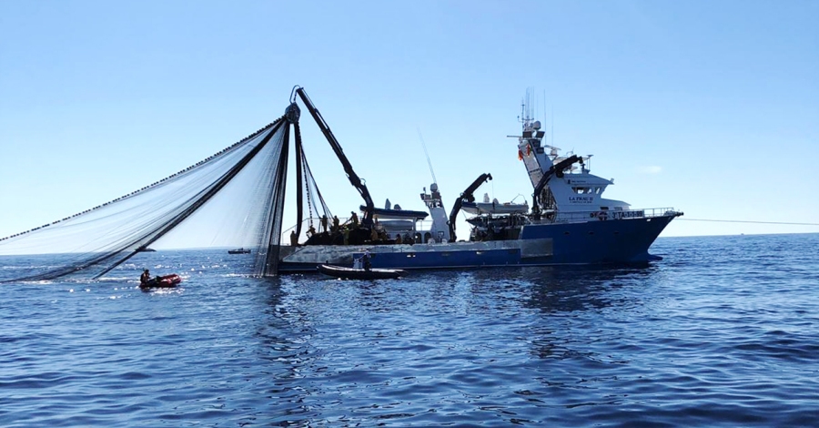 Les quatre tonyineres caleres completen la quota en set dies | EbreActiu.cat, revista digital d’oci actiu | Terres de l’Ebre ...