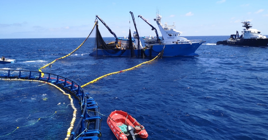 Balfeg finalitza la campanya de pesca de tonyina roja en menys de 4 dies | EbreActiu.cat, revista digital d’oci actiu | Terres de l’Ebre ...