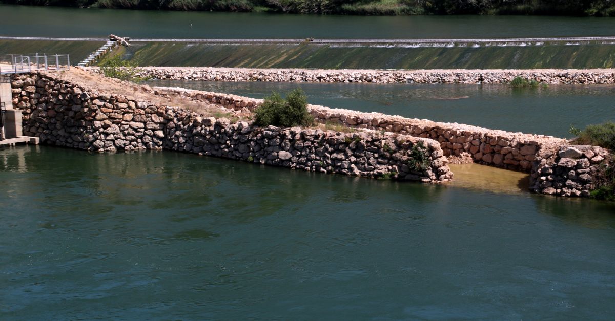 El Life MigratoEbre acaba amb la rampa de peixos de Xerta a punt i els esturions alliberats desplaats al litoral ebrenc | EbreActiu.cat, revista digital d’oci actiu | Terres de l’Ebre ...