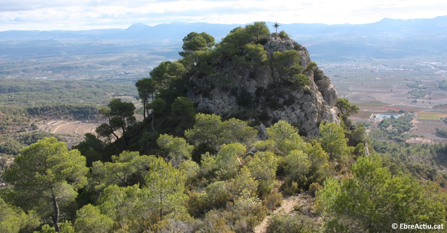 Regulaci de pas a la Picossa a Mra d’Ebre a causa de la reproducci de l’guila coabarrada | EbreActiu.cat, revista digital d’oci actiu | Terres de l’Ebre ...