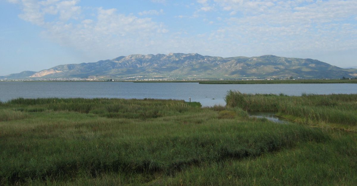 Acci Climtica reforar les guardes de protecci de les basses del delta de l’Ebre a principis d’any | EbreActiu.cat, revista digital d’oci actiu | Terres de l’Ebre ...