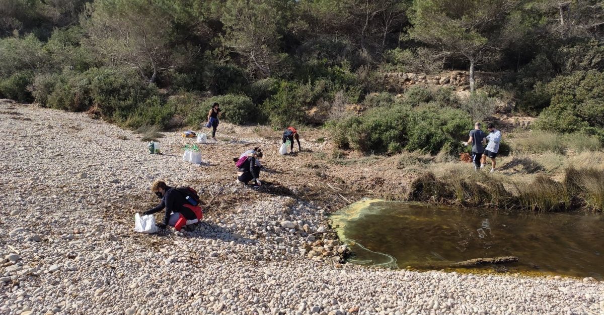 Jornada ambiental i de neteja a la platja de Santes Creus | EbreActiu.cat, revista digital d’oci actiu | Terres de l’Ebre ...