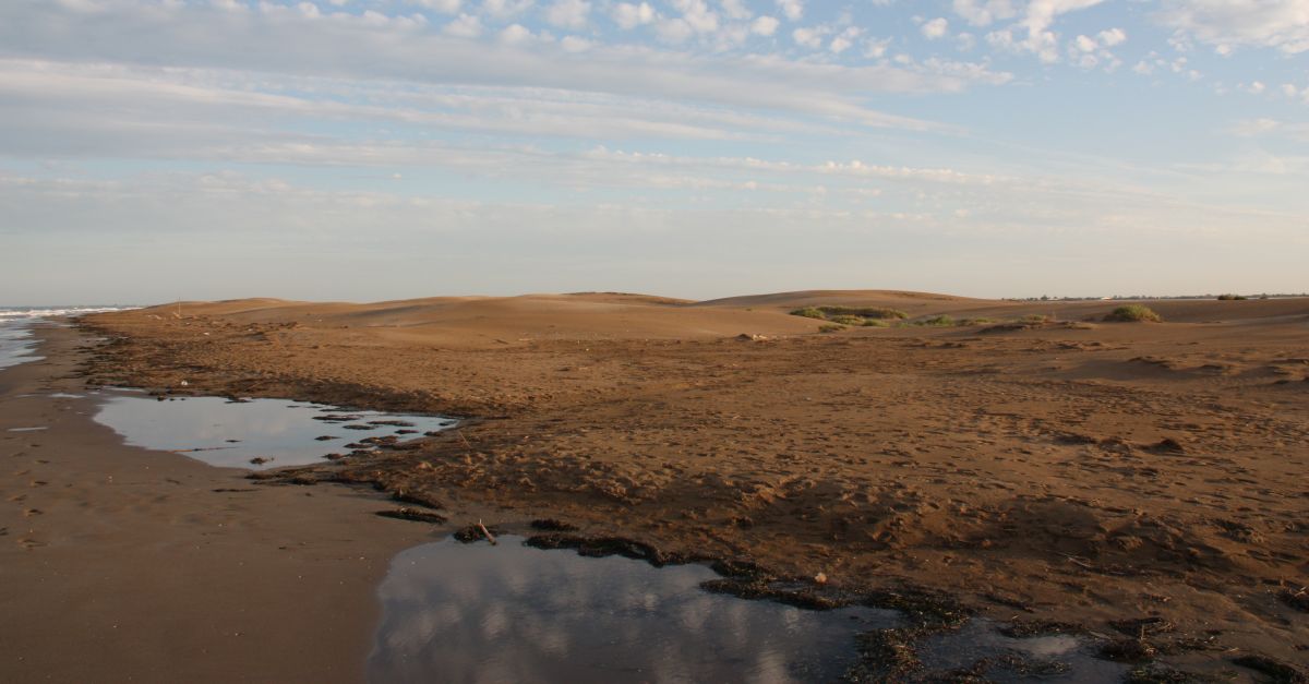 Acord per al traat de la guarda de protecci del Fangar | EbreActiu.cat, revista digital d’oci actiu | Terres de l’Ebre ...