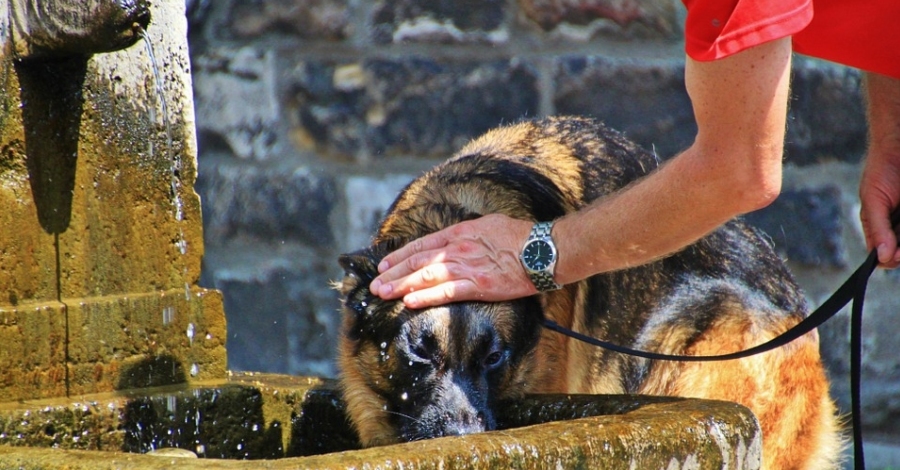 Alerta del Plan de Proteccin Civil de Catalua por ola de calor generalizada | EbreActiu.cat, revista digital de ocio activo | Terres de l’Ebre...