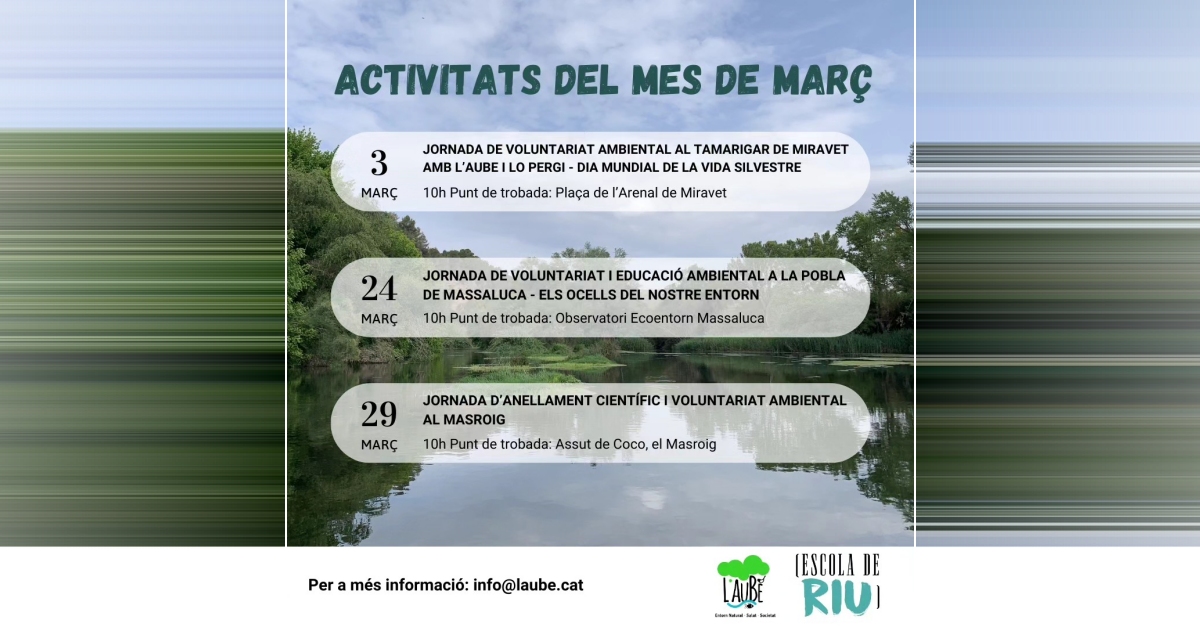 Jornada de voluntariat i educaci ambiental Els ocells del nostre entorn