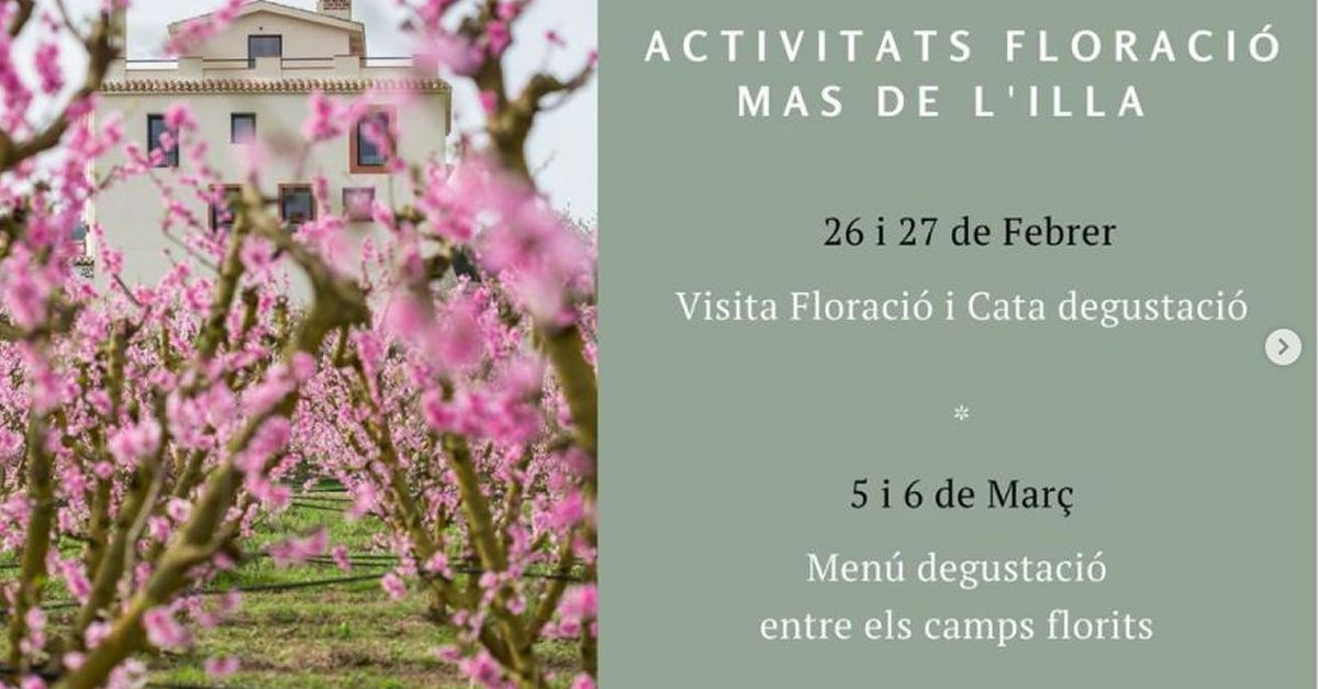 Visita a la floracin del Mas de l’Illa y cata degustacin