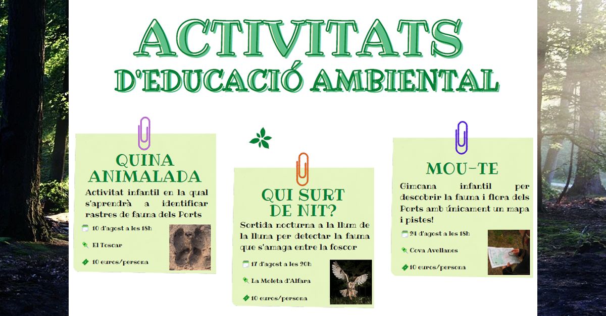 Activitat deducaci ambiental: Quina animalada (taller)