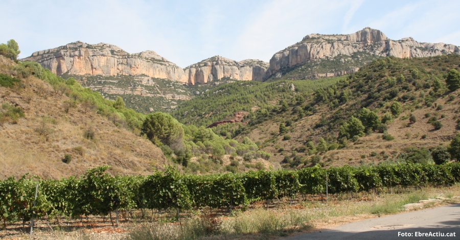 Itineraris naturalistes i tallers de descoberta aquesta primavera i estiu al Parc Natural de Montsant | EbreActiu.cat, revista digital d’oci actiu | Terres de l’Ebre ...