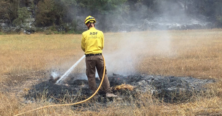 Creu de Sant Jordi a les Agrupacions de Defensa Forestal de Catalunya | EbreActiu.cat, revista digital d’oci actiu | Terres de l’Ebre ...