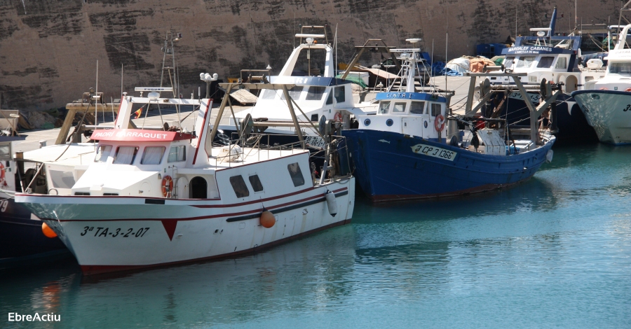 La crisi del peix blau s’agreuja per la desaparici de la sardina i el seit | EbreActiu.cat, revista digital d’oci actiu | Terres de l’Ebre ...