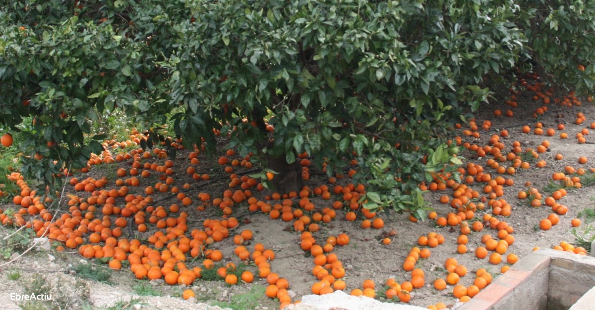 Agricultura intensificar les inspeccions sobre el compliment dels contractes dels ctrics | EbreActiu.cat, revista digital d’oci actiu | Terres de l’Ebre ...