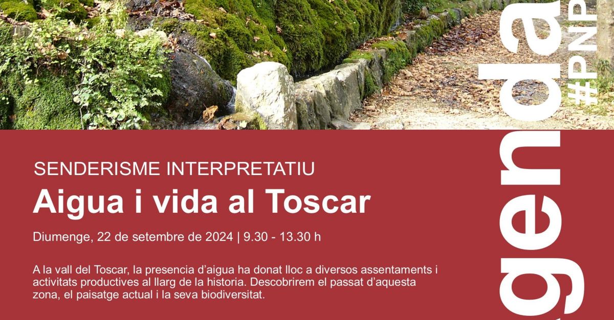 Senderisme interpretatiu: Aigua i vida al Toscar