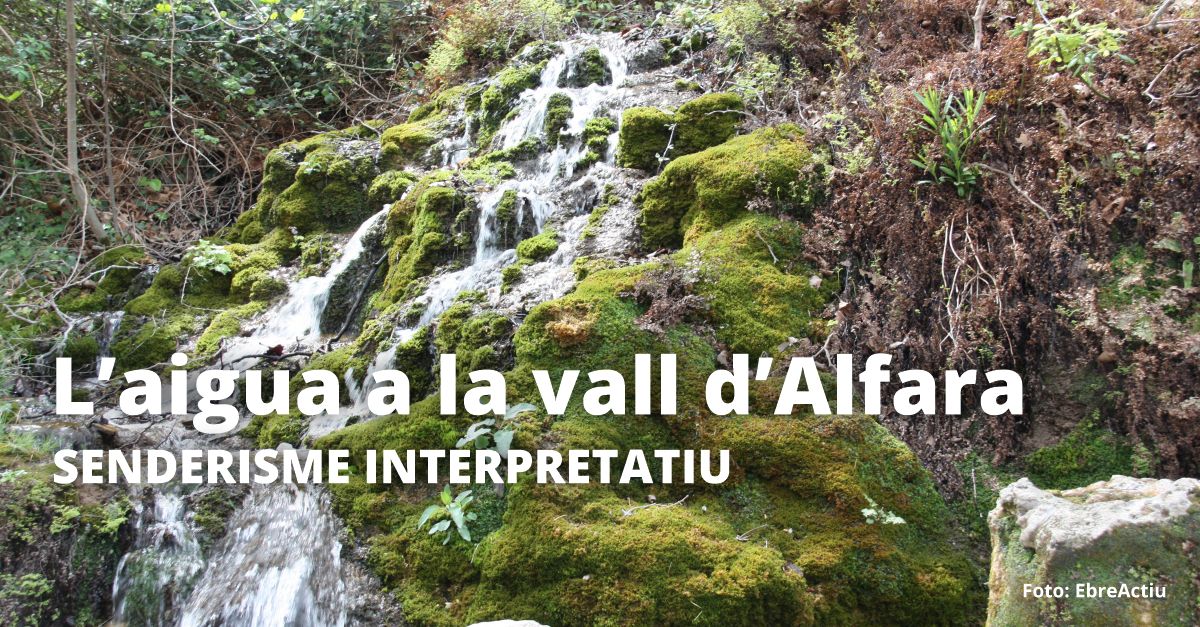 Senderisme interpretatiu: Laigua a la vall dAlfara