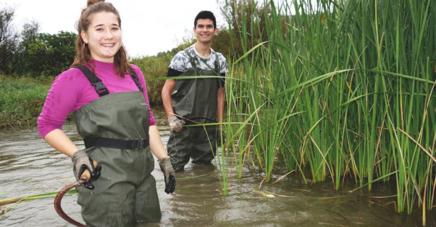 Aydanos a conservar la Laguna de Sebes (1)