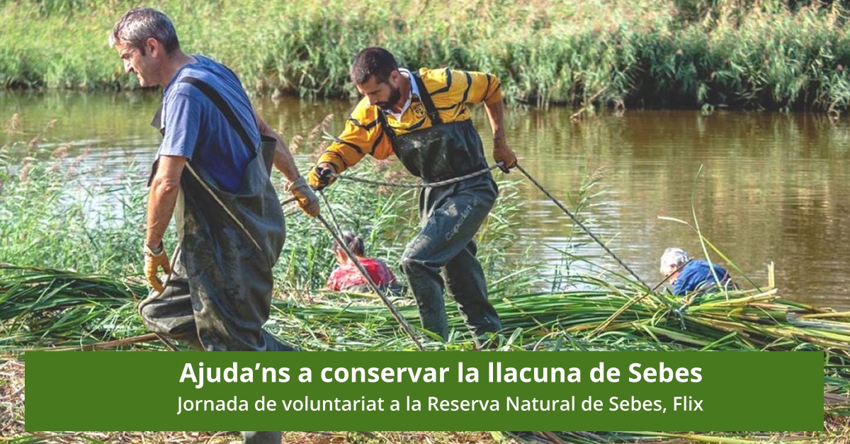 Aydanos a conservar la Laguna de Sebes