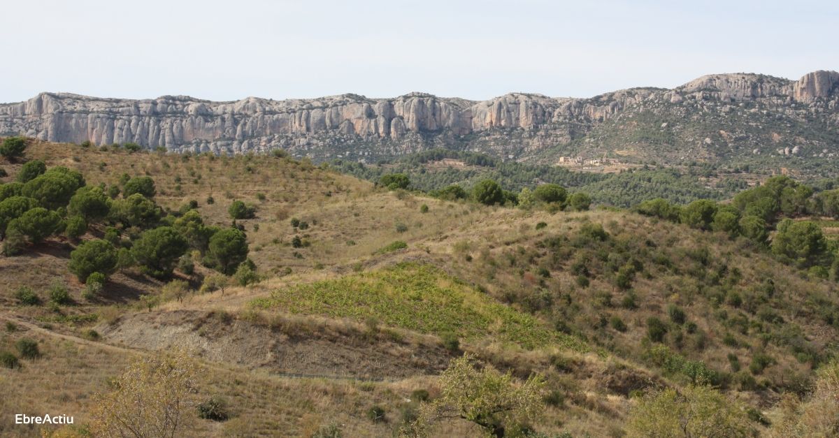 La Diputaci de Tarragona ha destinat 35.000 euros al Parc Natural de Montsant durant el 2020 | EbreActiu.cat, revista digital d’oci actiu | Terres de l’Ebre ...