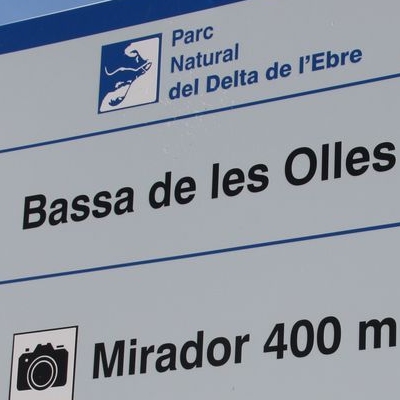 lbum: Bassa de les Olles (l’Ampolla, delta del Ebro)