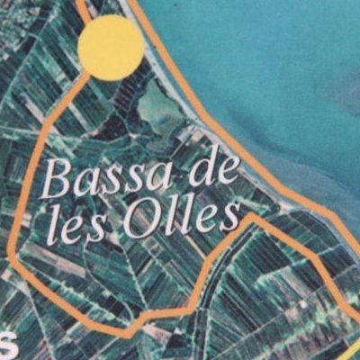 lbum: Bassa de les Olles (l’Ampolla, delta del Ebro)