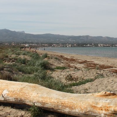 lbum: Bassa de les Olles (l’Ampolla, delta del Ebro)