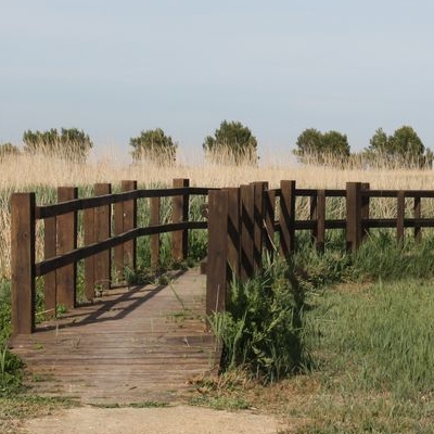 lbum: Bassa de les Olles (l’Ampolla, delta del Ebro)