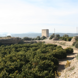 lbum: ruta per Ermita de Solicr - Torre de Campred - Casa del Prat