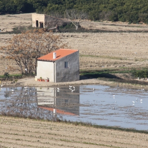 lbum: ruta per Ermita de Solicr - Torre de Campred - Casa del Prat