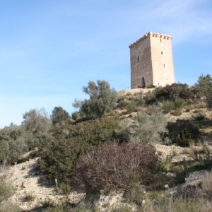 lbum: ruta per Ermita de Solicr - Torre de Campred - Casa del Prat