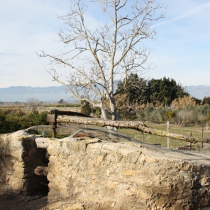 lbum: ruta per Ermita de Solicr - Torre de Campred - Casa del Prat