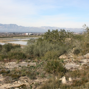 lbum: ruta per Ermita de Solicr - Torre de Campred - Casa del Prat