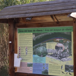 Playa fluvial y el Bosque de Ribera de Aldover