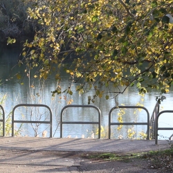 Playa fluvial y el Bosque de Ribera de Aldover