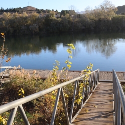 Playa fluvial y el Bosque de Ribera de Aldover