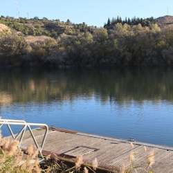 Playa fluvial y el Bosque de Ribera de Aldover