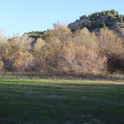 Playa fluvial y el Bosque de Ribera de Aldover