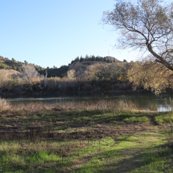 Playa fluvial y el Bosque de Ribera de Aldover