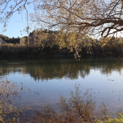 Playa fluvial y el Bosque de Ribera de Aldover