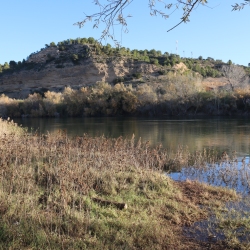 Playa fluvial y el Bosque de Ribera de Aldover