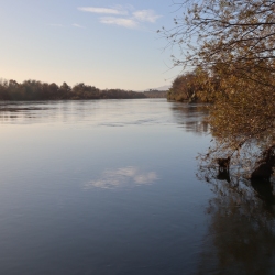 Playa fluvial y el Bosque de Ribera de Aldover