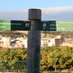 Playa fluvial y el Bosque de Ribera de Aldover