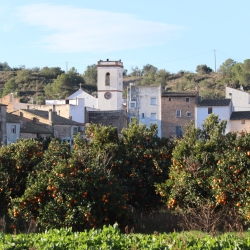 Playa fluvial y el Bosque de Ribera de Aldover