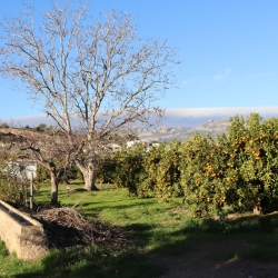 Playa fluvial y el Bosque de Ribera de Aldover