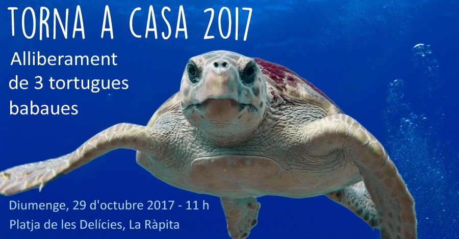 Torna a Casa 2017. Alliberament de 3 tortugues marines