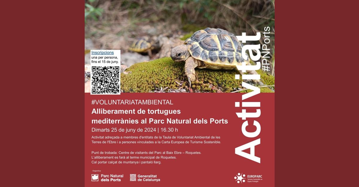 Alliberament de tortugues mediterrnies al Parc Natural dels Ports