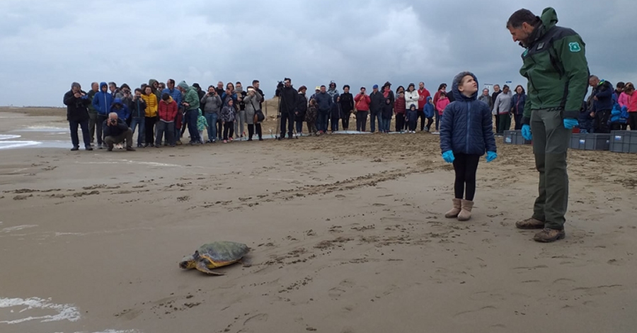 S’alliberen 5 tortugues recuperades que havien quedat atrapades en xarxes de pesca | EbreActiu.cat, revista digital d’oci actiu | Terres de l’Ebre ...