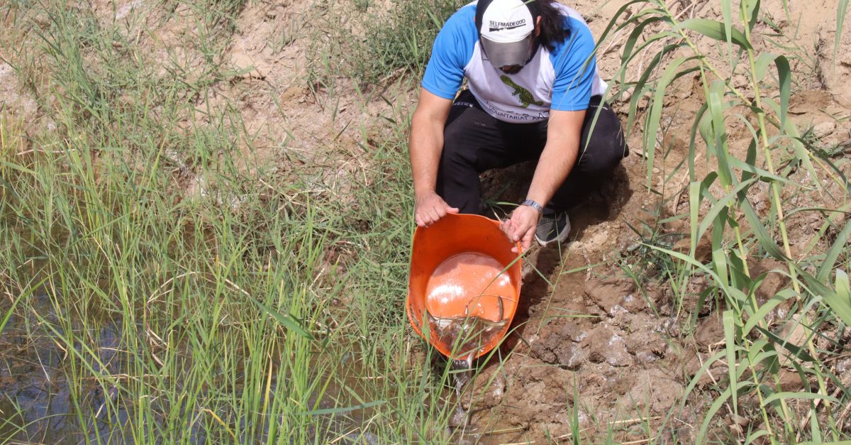 Alliberen un miler de peixos rescatats del riu Siurana a la llacuna de Riba-roja d’Ebre | EbreActiu.cat, revista digital d’oci actiu | Terres de l’Ebre ...