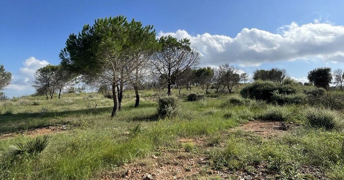 Amposta cedeix quatre hectrees de terrenys municipals a Aula i Natura | EbreActiu.cat, revista digital d’oci actiu | Terres de l’Ebre ...