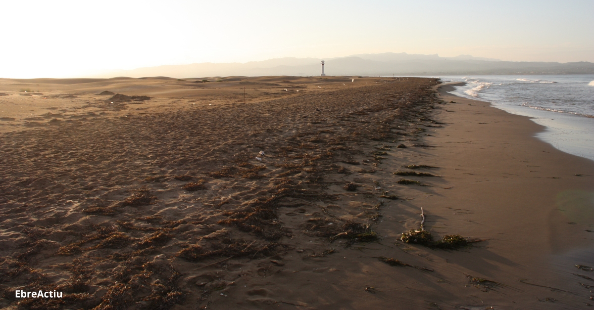 Territori valora positivament l’aportaci de 385.000 metres cbics de sorra al front litoral del Delta de l’Ebre | EbreActiu.cat, revista digital d’oci actiu | Terres de l’Ebre ...