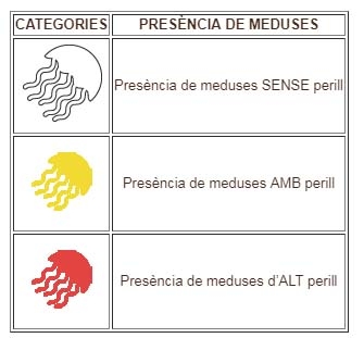 L’apli PlatgesCat mejora la informacin sobre la presencia de medusas en el litoral cataln | EbreActiu.cat, revista digital de ocio activo | Terres de l’Ebre...